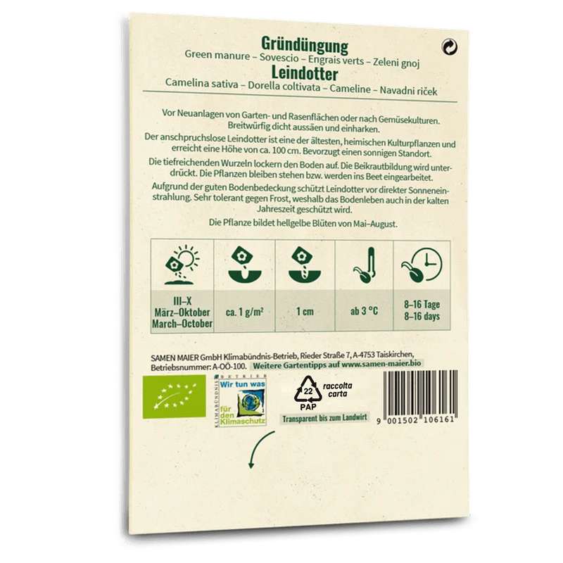 Bio-Leindotter Gründüngung