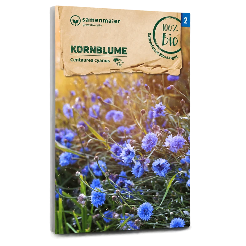 Bio-Kornblume Blau