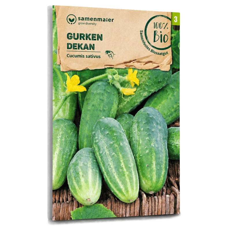 Bio-Gurke 'Dekan'