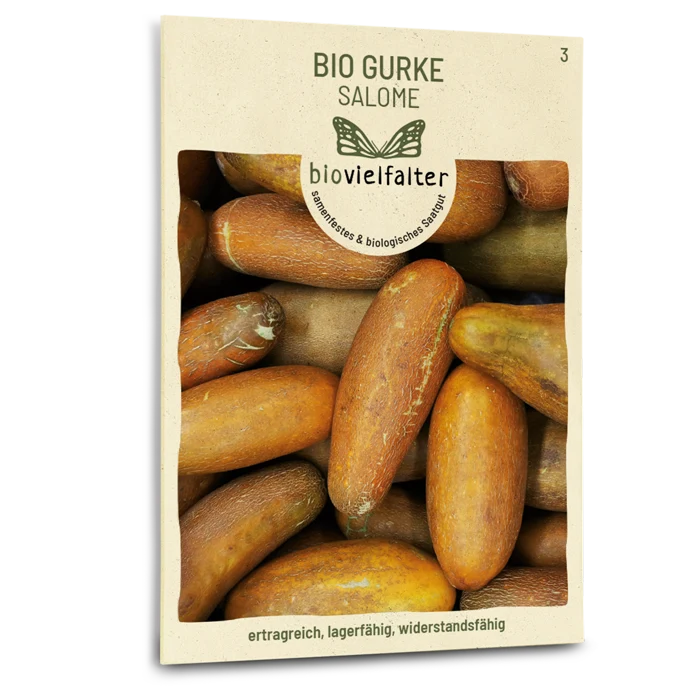 Bio-Gurke 'Salome'