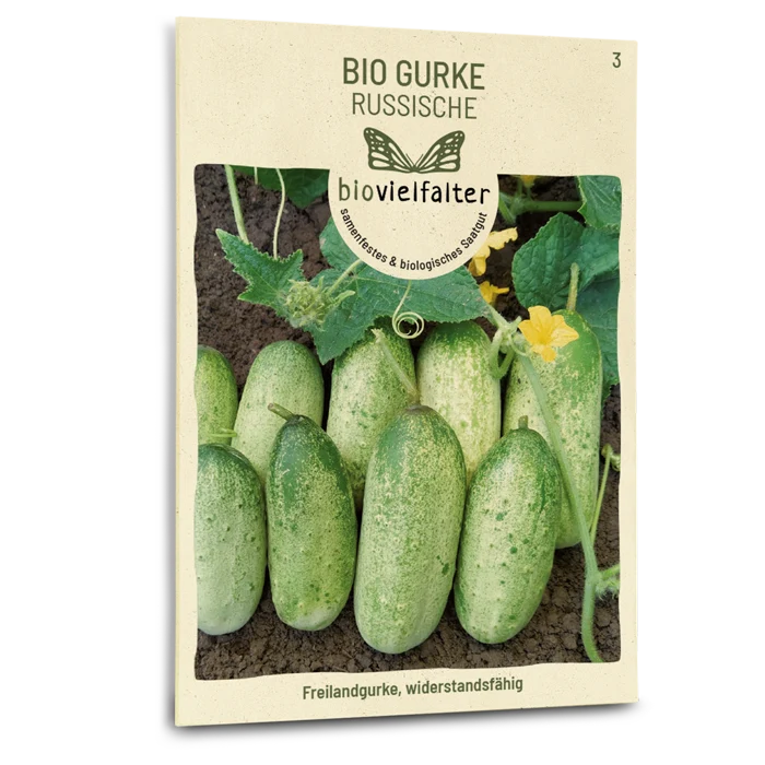 Bio-Gurke 'Russische'