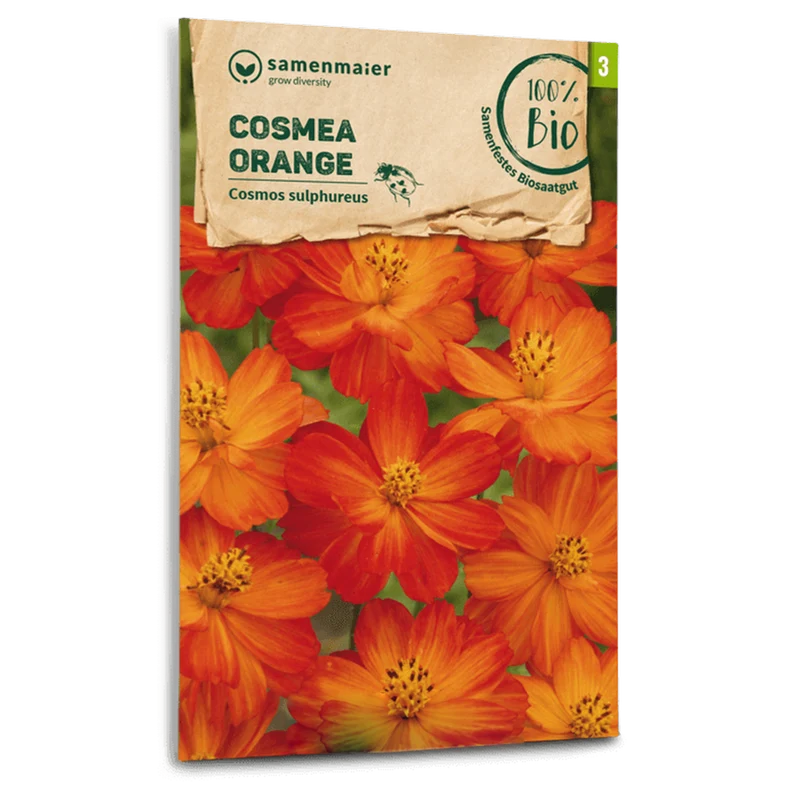 Bio-Cosmea Orange