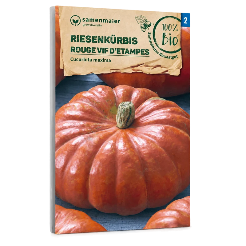 Bio-Riesenkürbis 'Rouge vif d'Etampes'