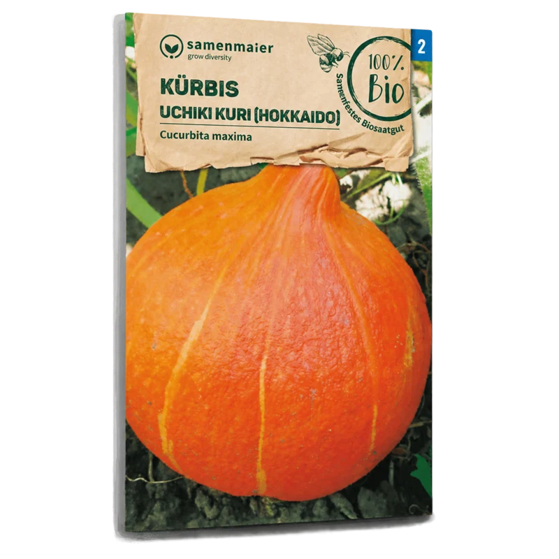 Bio-Kürbis 'Uchiki Kuri' Hokkaido