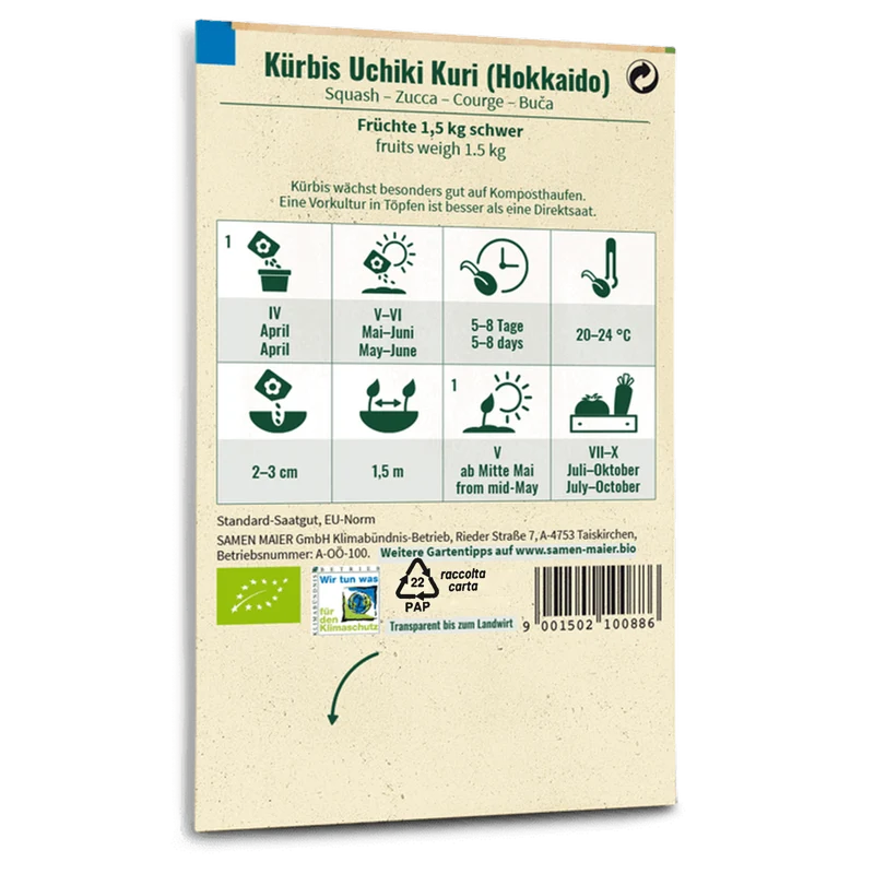 Bio-Kürbis 'Uchiki Kuri' Hokkaido