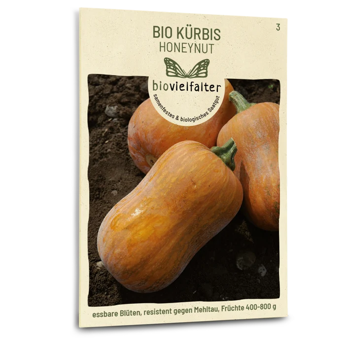 Bio-Kürbis 'Honeynut'