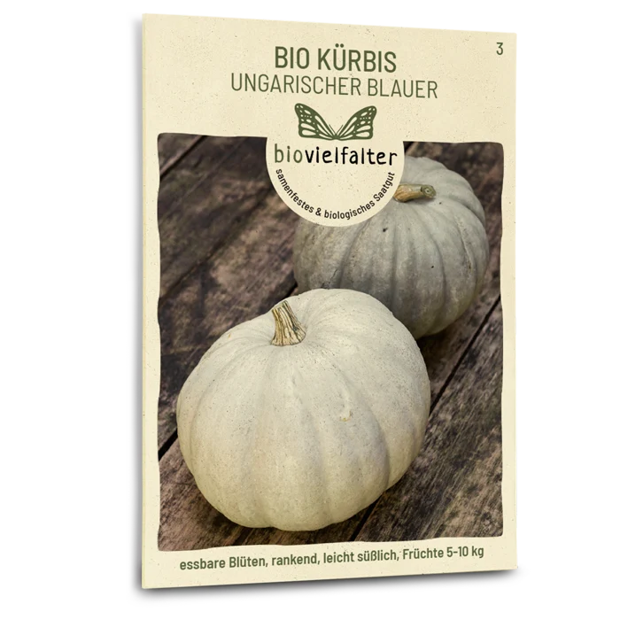 Bio-Kürbis 'Ungarischer Blauer'