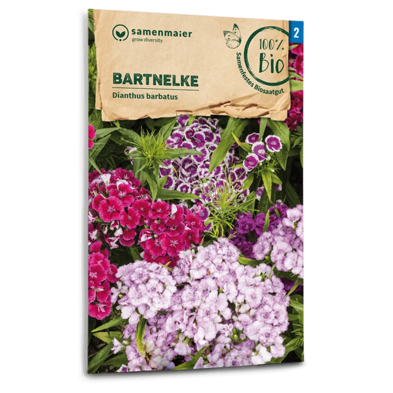 Bio-Bartnelken Mischung