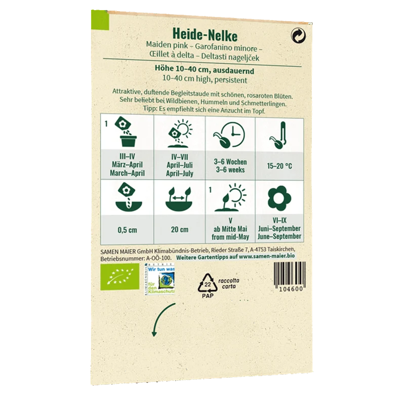 Bio-Heide-Nelke Wildblume
