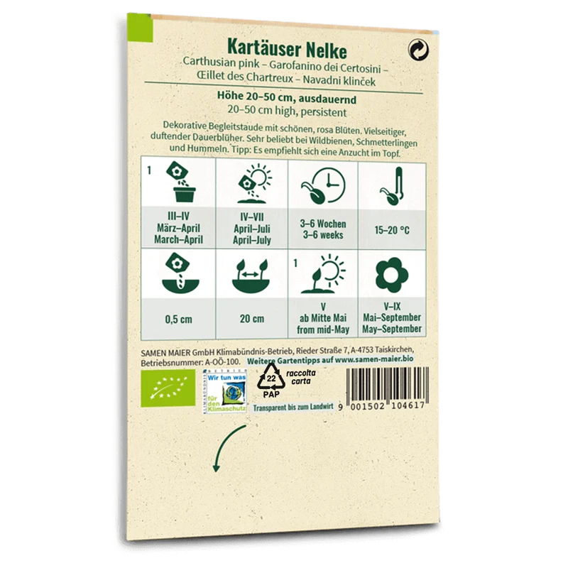 Bio-Kartäuser Nelke Wildblume