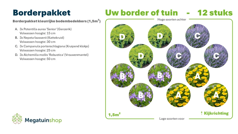 Bordürenpaket mit farbenfroher Bodenabdeckung (1,5 m2)