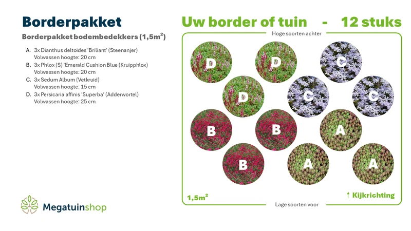 Bodenabdeckung für Bordüren (1,5 m²)