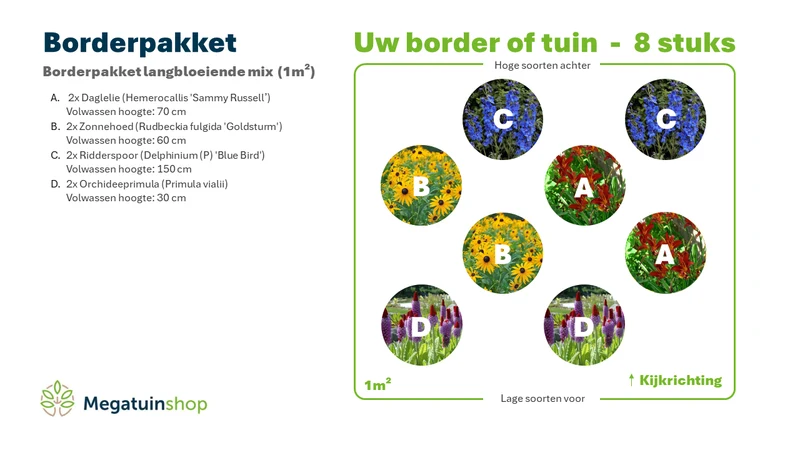 Beet-Set langblühende Mischung (1 m²)
