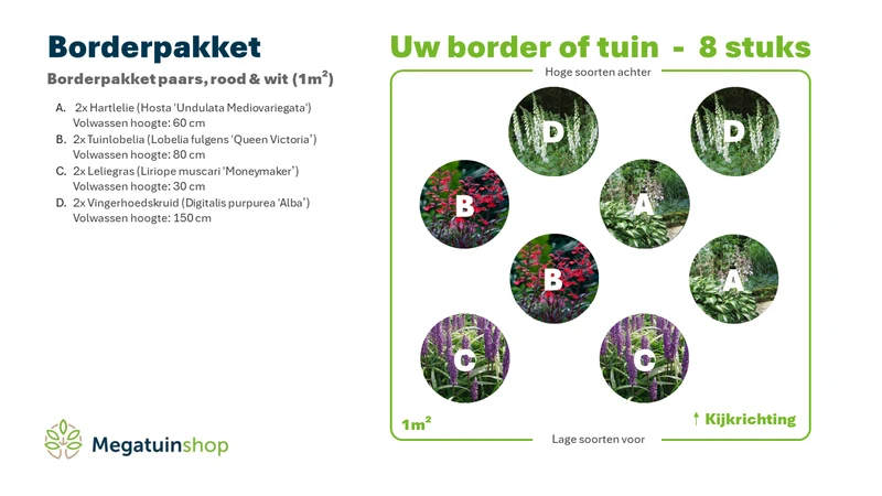 Bordürenpaket lila, rot & weiß (1m2)