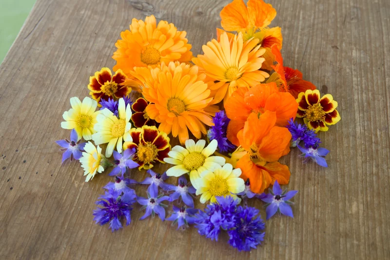 Bio-Essbare Blüten Mischung