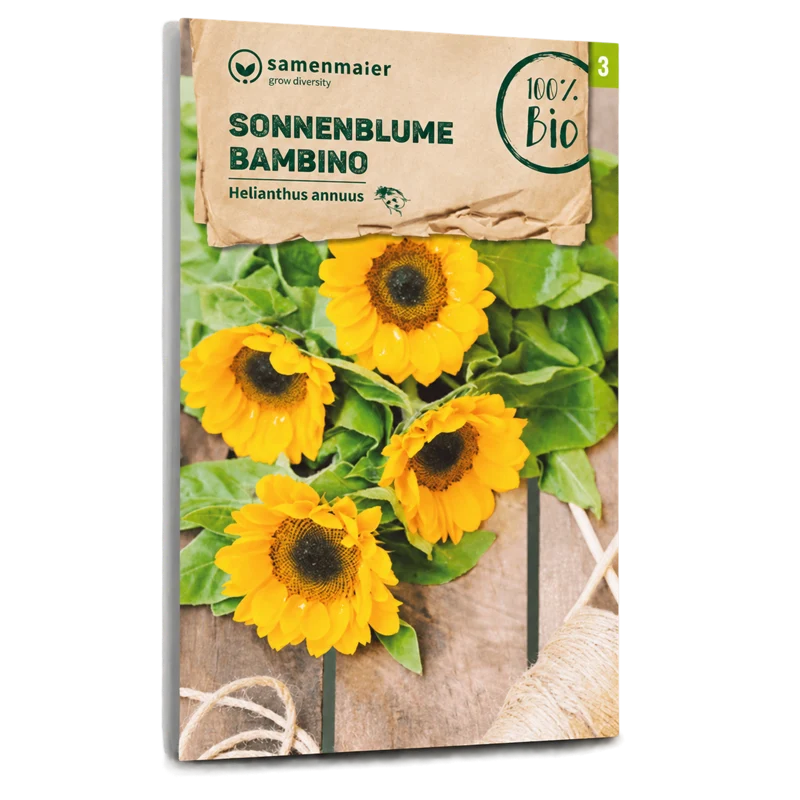 Bio-Sonnenblume 'Bambino'