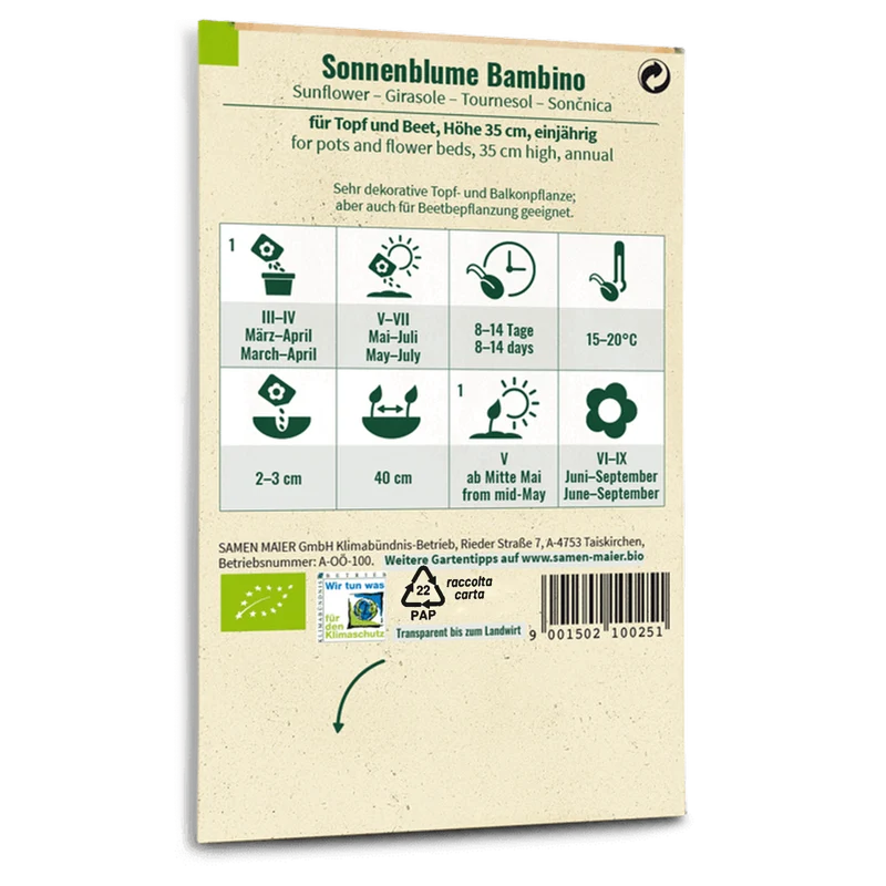 Bio-Sonnenblume 'Bambino'