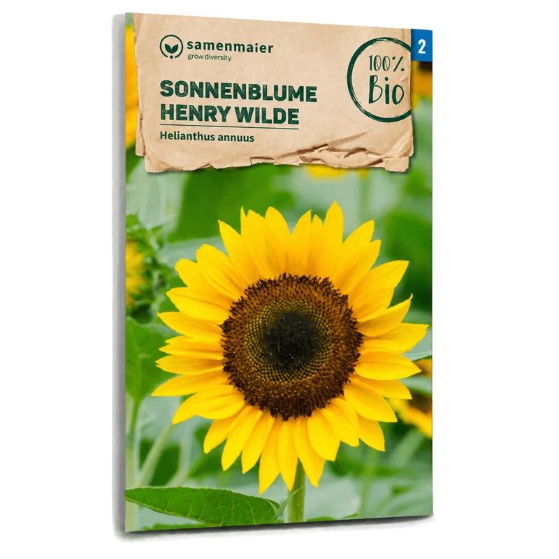 Bio-Sonnenblume 'Henry Wilde'