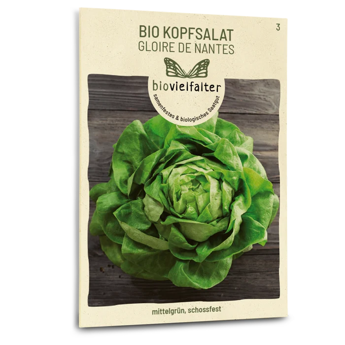 Bio-Kopfsalat 'Gloire de Nantes'