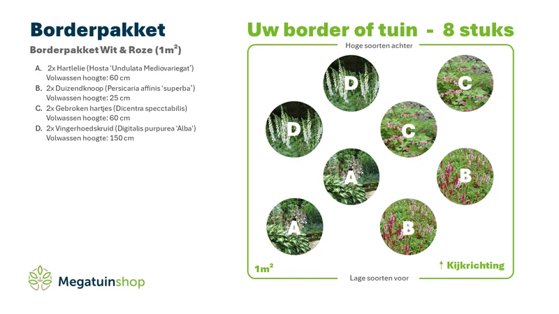 Bordürenpaket Weiß & Rosa (1m2)
