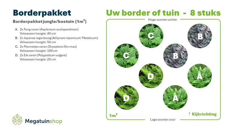 Randpaket Dschungel-/Waldgarten (1m2)