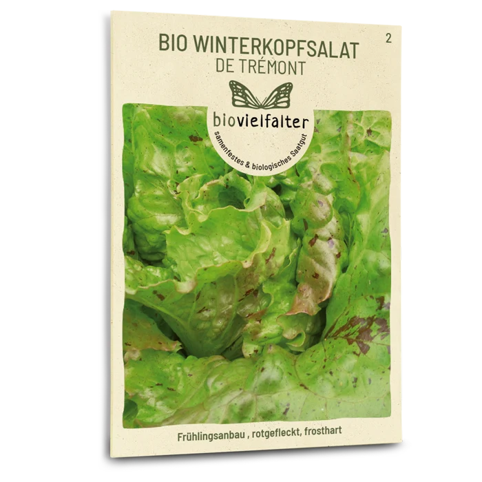 Bio-Winterkopfsalat 'De Trémont'