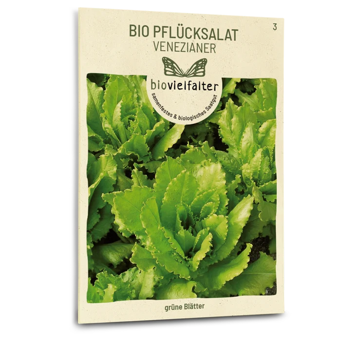 Bio-Pflücksalat 'Venezianer'