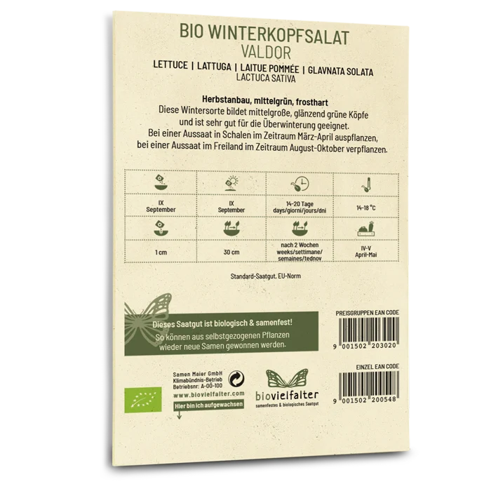 Bio-Winterkopfsalat 'Valdor'