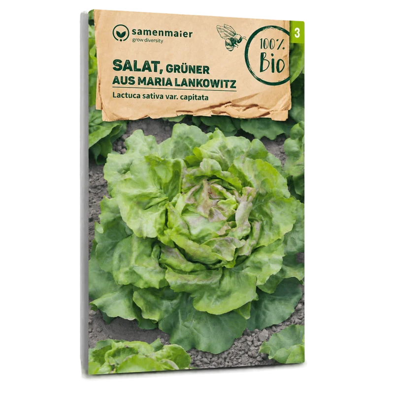 Bio-Salat 'Grüner aus Maria Lankowitz'