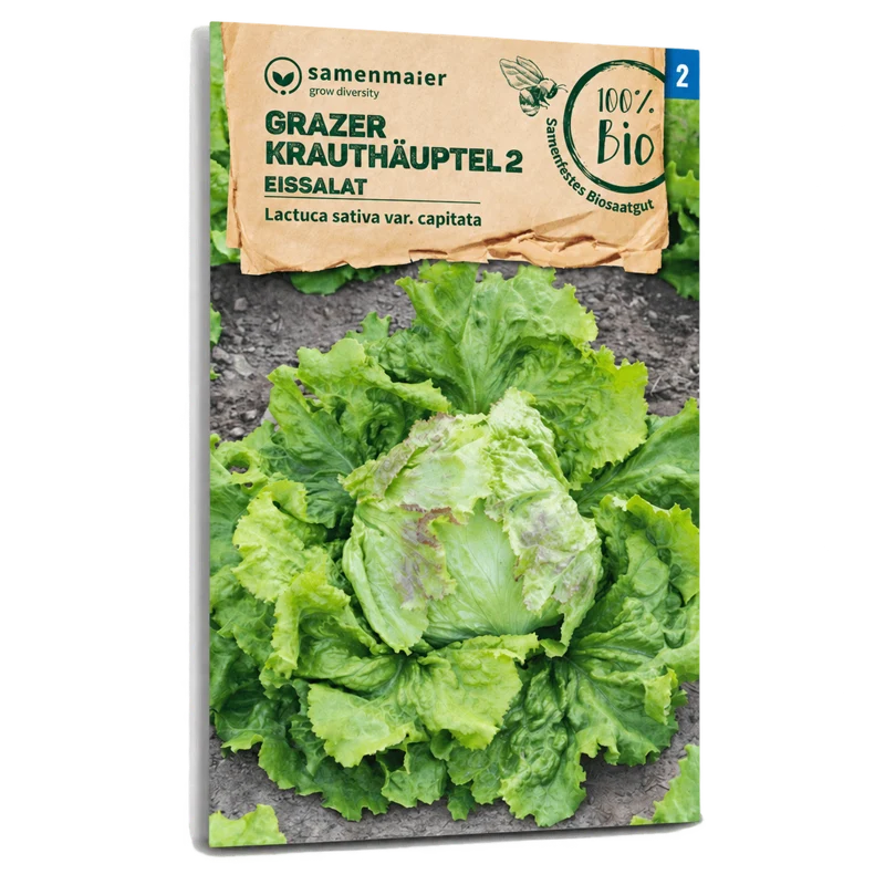 Bio-Eissalat 'Grazer Krauthäuptel 2'
