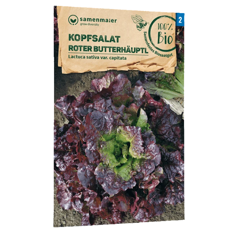 Bio-Kopfsalat 'Roter Butterhäuptl'