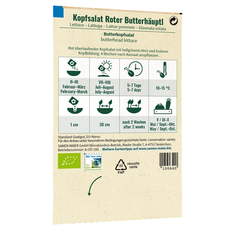 Bio-Kopfsalat 'Roter Butterhäuptl'