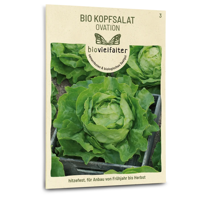 Bio-Kopfsalat 'Ovation'