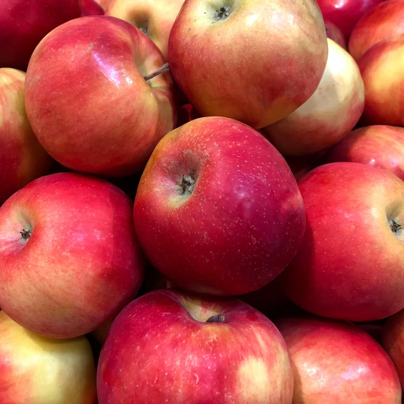 Esopus Spitzenburg Apple Seeds for Planting – Soft, Juicy & Slow to Brown Heirloom Apples