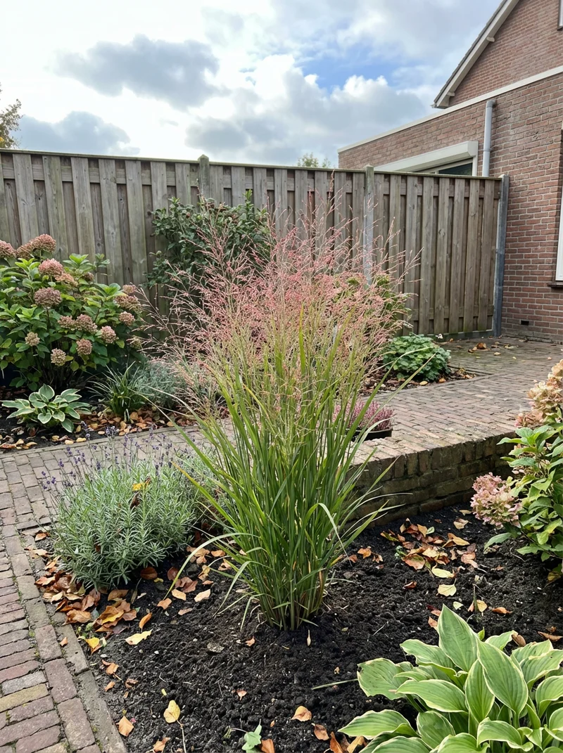 Fingergras (Panicum virg. 'Heavy Metal')