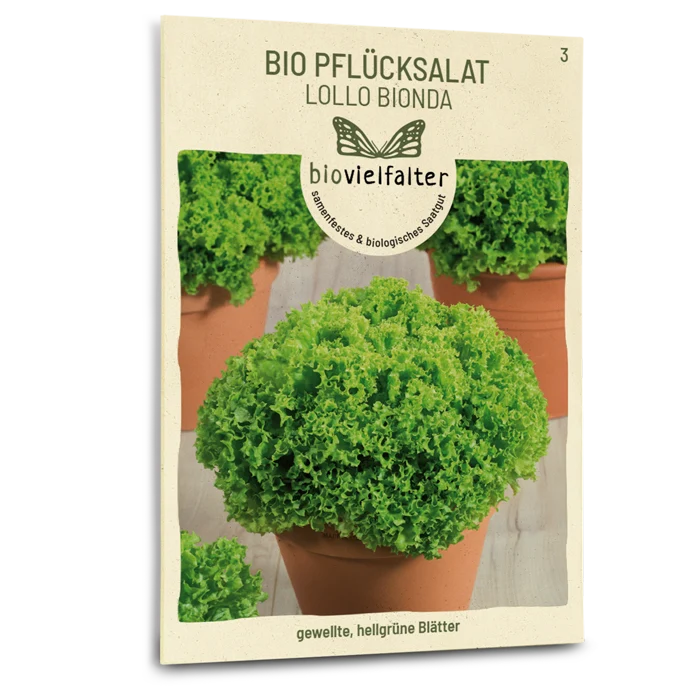 Bio-Pflücksalat 'Lollo Bionda'