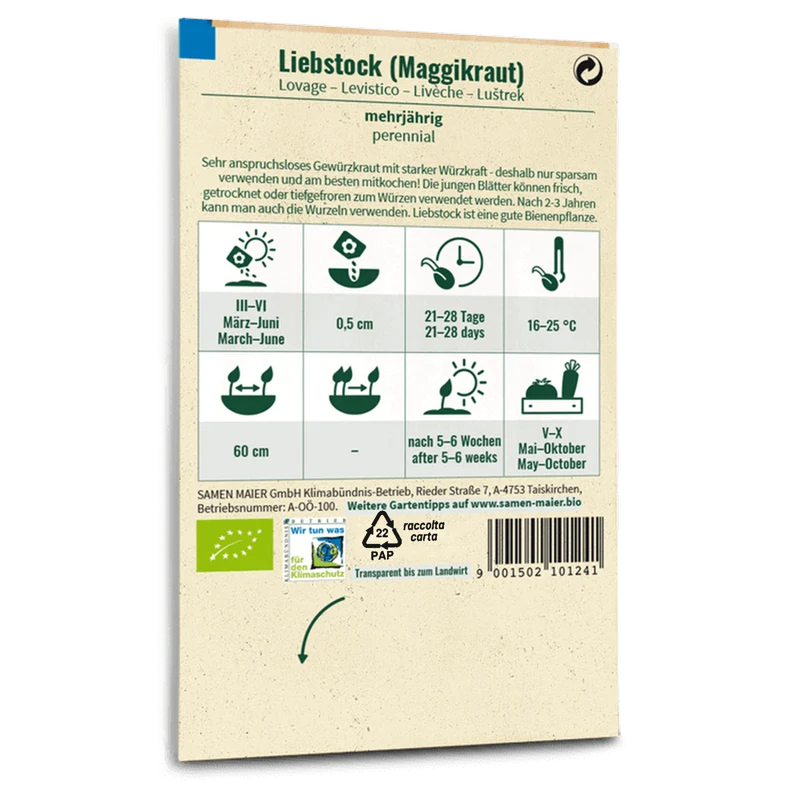 Bio-Liebstöckel (Maggikraut)