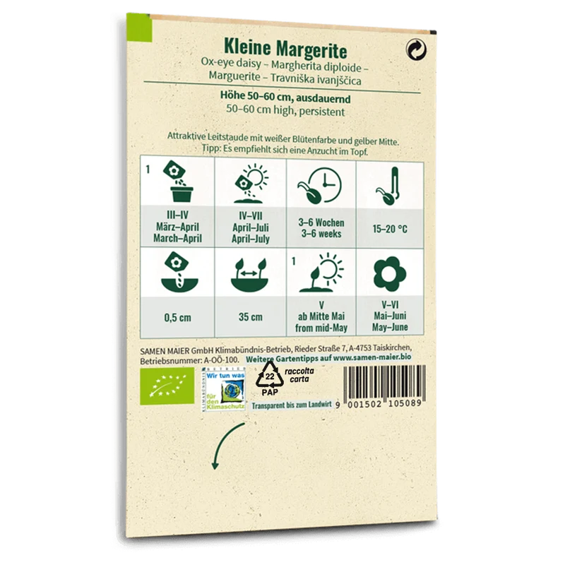 Bio-Kleine Margerite Wildblume