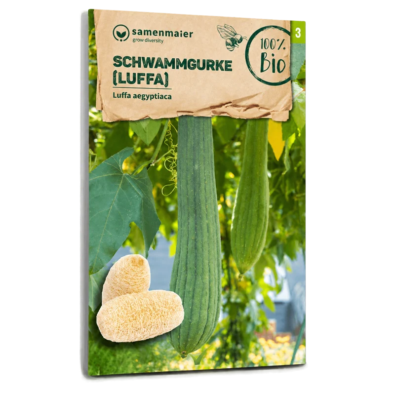 Bio-Schwammgurke (Luffa)