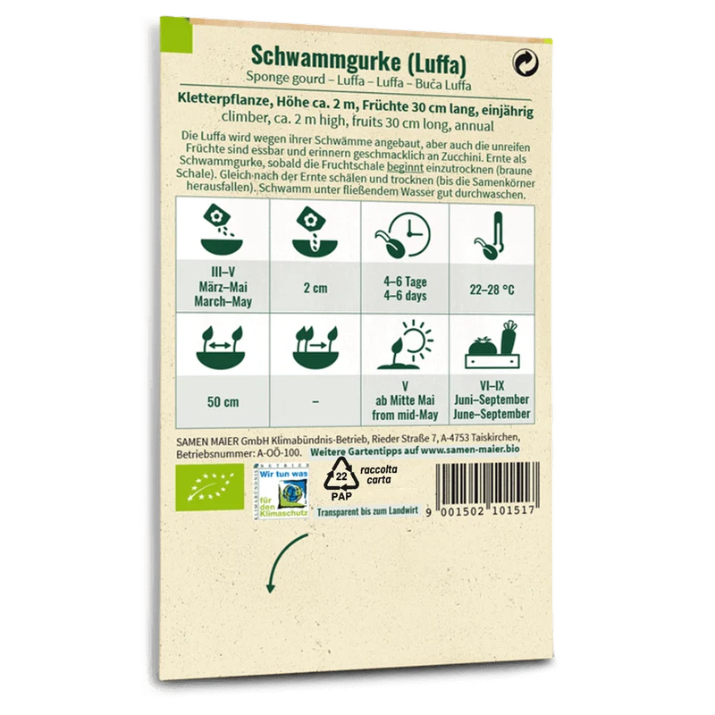 Bio-Schwammgurke (Luffa)