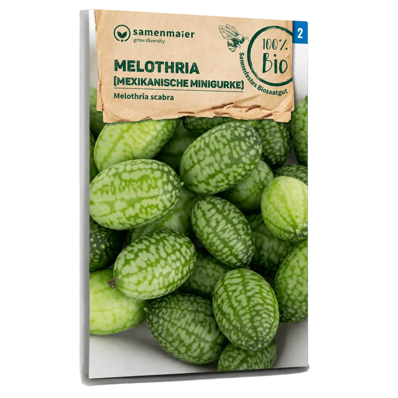 Bio-Mexikanische Minigurke