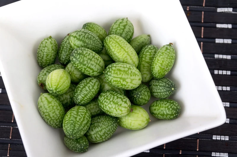 Bio-Mexikanische Minigurke