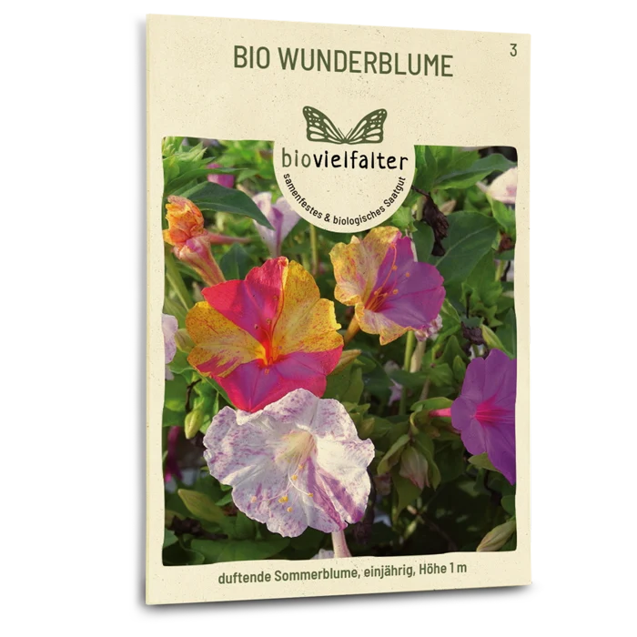 Bio-Wunderblume