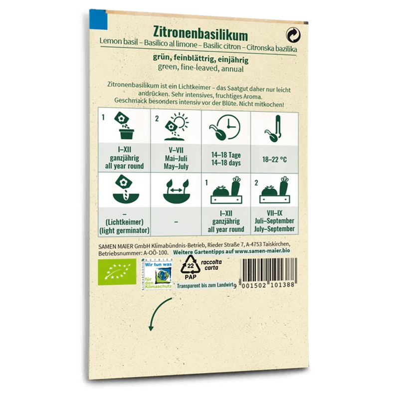 Bio-Zitronenbasilikum