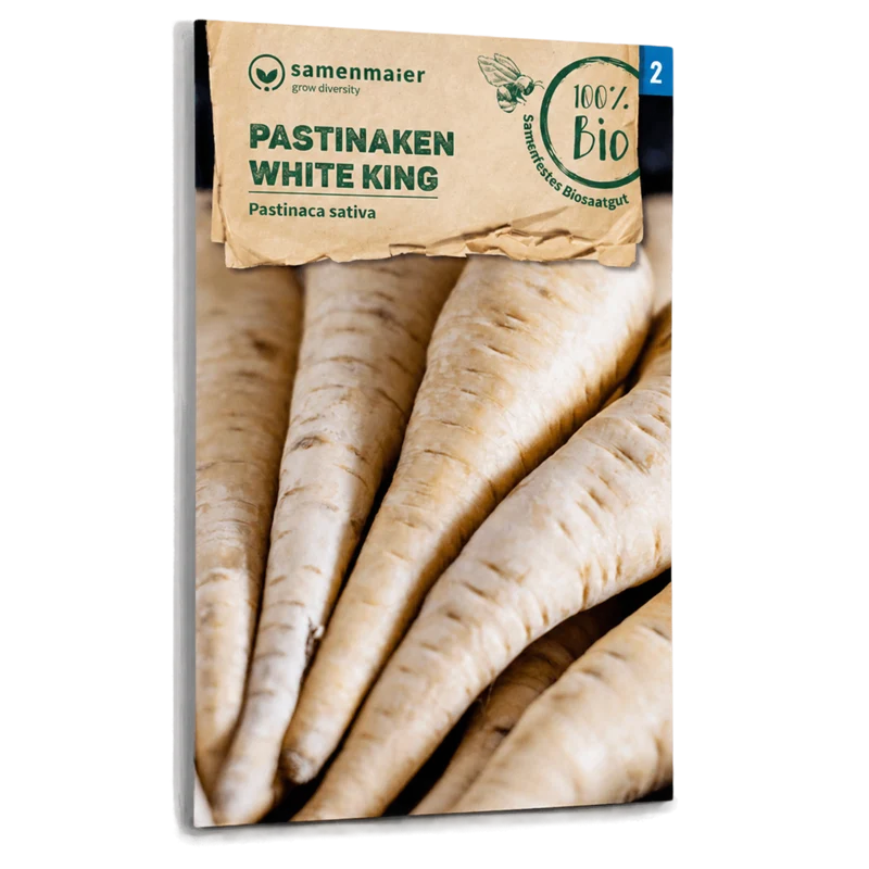 Bio-Pastinaken 'White King'