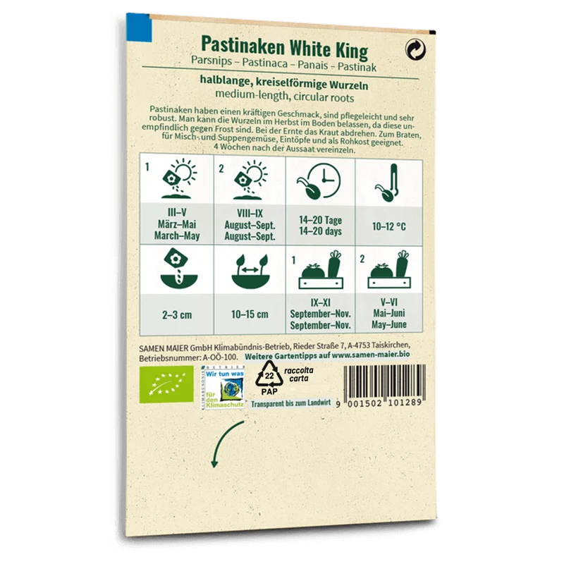Bio-Pastinaken 'White King'