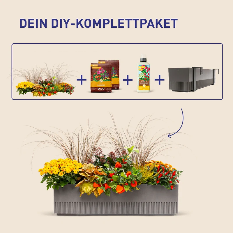 Balkonbox Golden Fall
