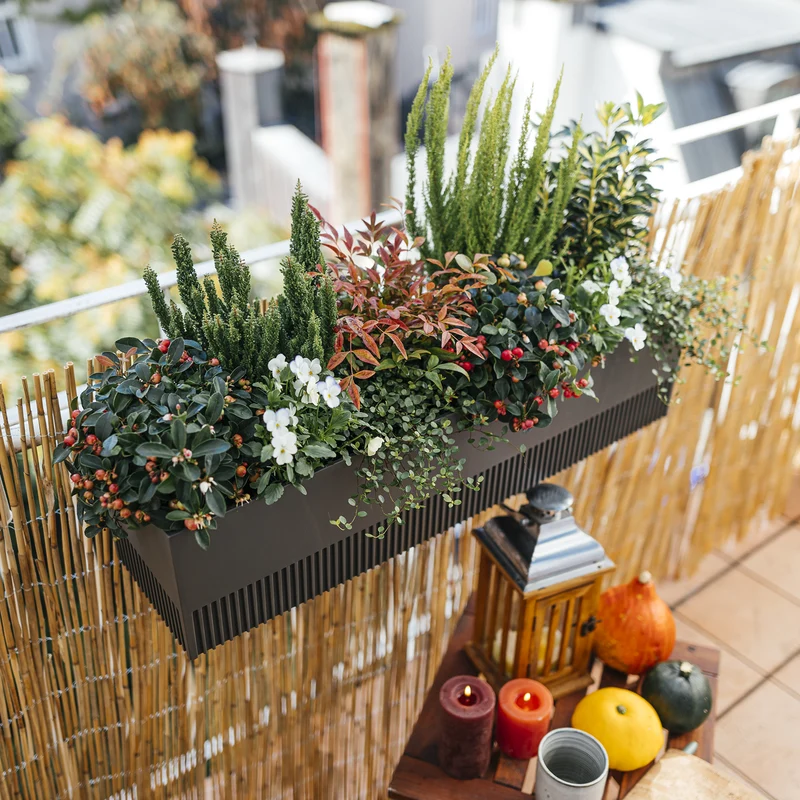 Balkonbox Evergreen Elegance