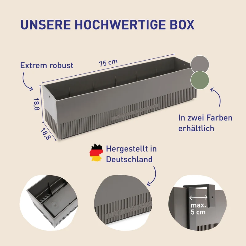 Balkonbox Evergreen Elegance