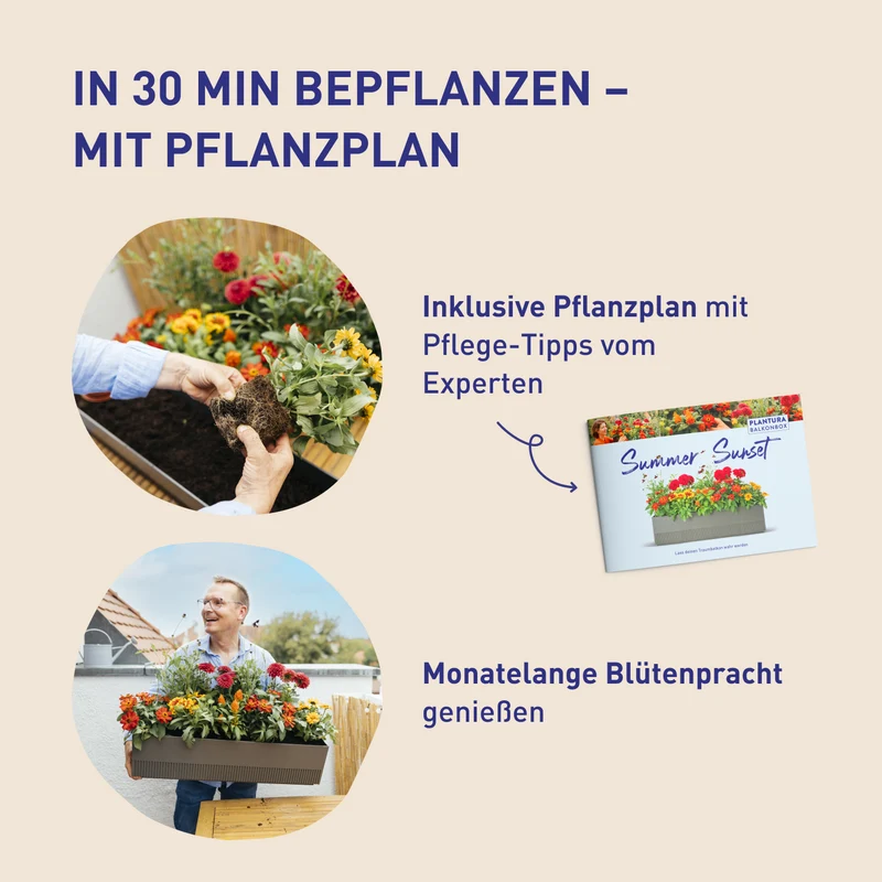 Balkonbox Evergreen Elegance